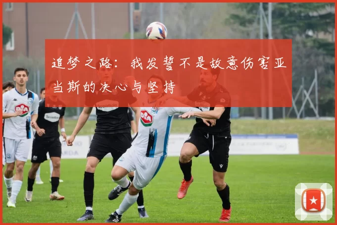 追梦之路：我发誓不是故意伤害亚当斯的决心与坚持